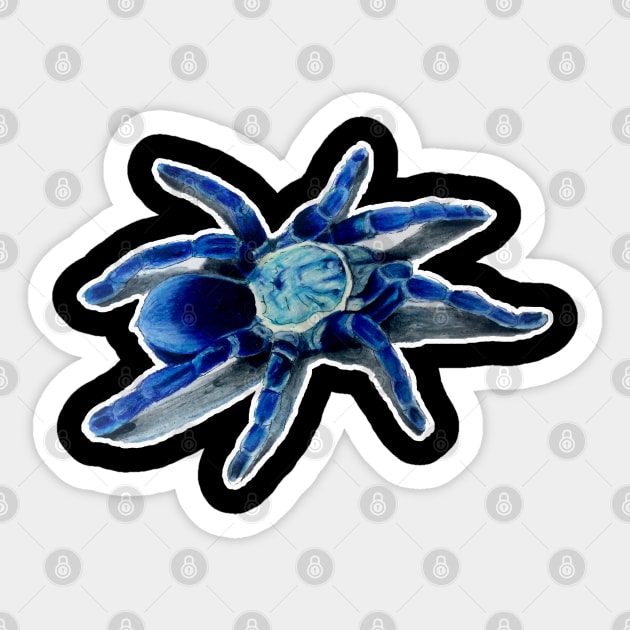 Female Cobalt Blue Tarantula Sticker by Brandy Devoid special edition collecion